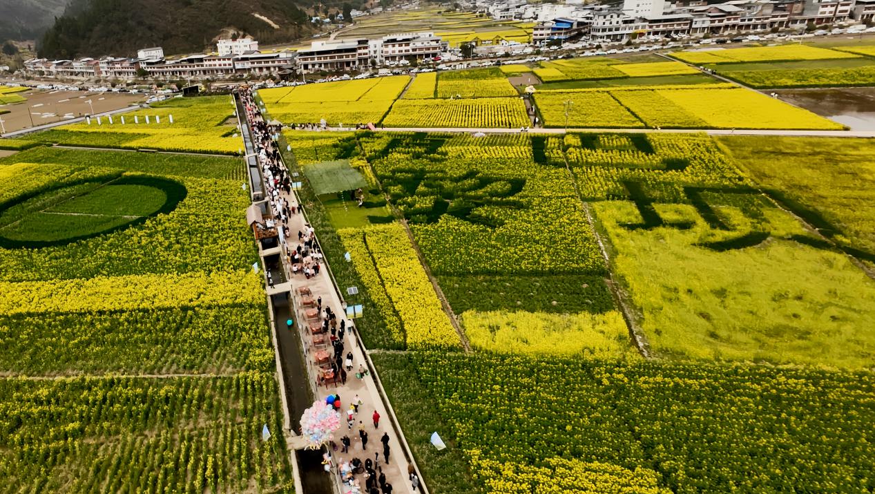 3d6374df6f9f66531fadb5a95def965f