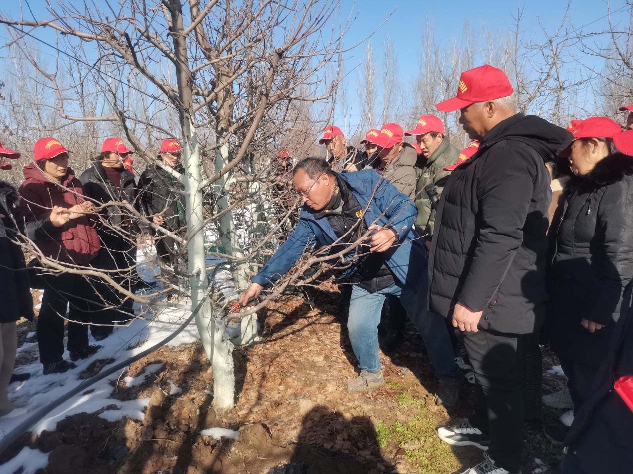 微信圖片_20260110225724_317_56