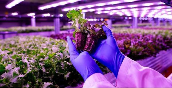 锚定科技“四极”导向科路驰＆跃东共拓“储能＋农业”新赛道(图1)