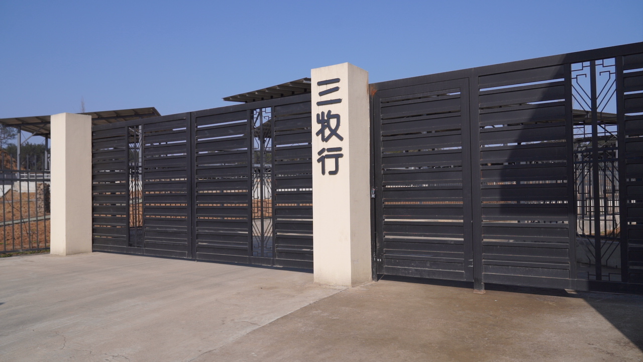 陕西南郑：和牛“云”上养 智慧牧场“牛”气足(图1)