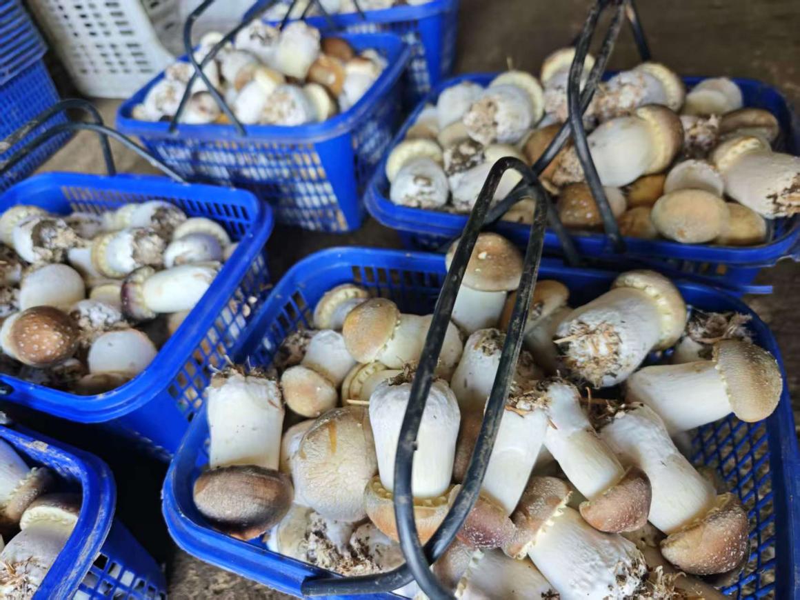 1a9546ae51333b8fa6264180520c580