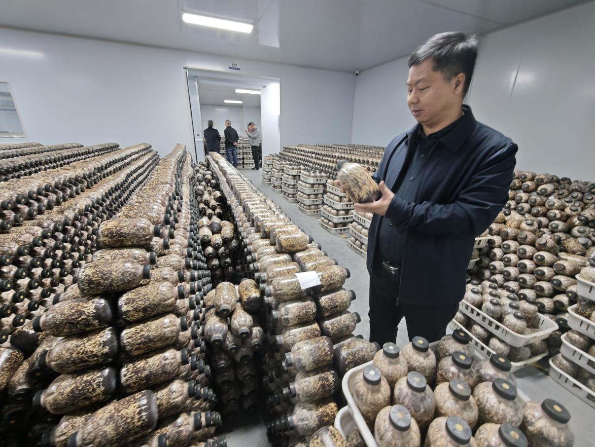 73f8b07a836b78b748bc97bc11a02fb