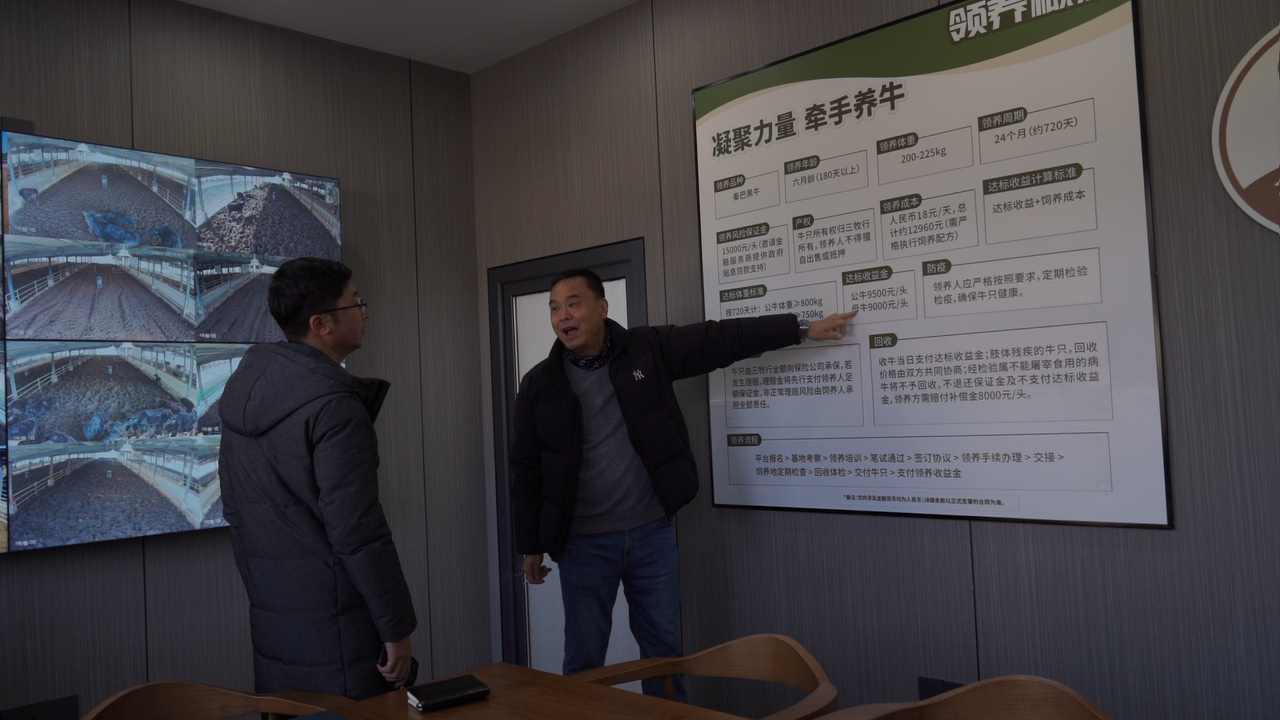 陕西南郑：和牛“云”上养 智慧牧场“牛”气足(图2)