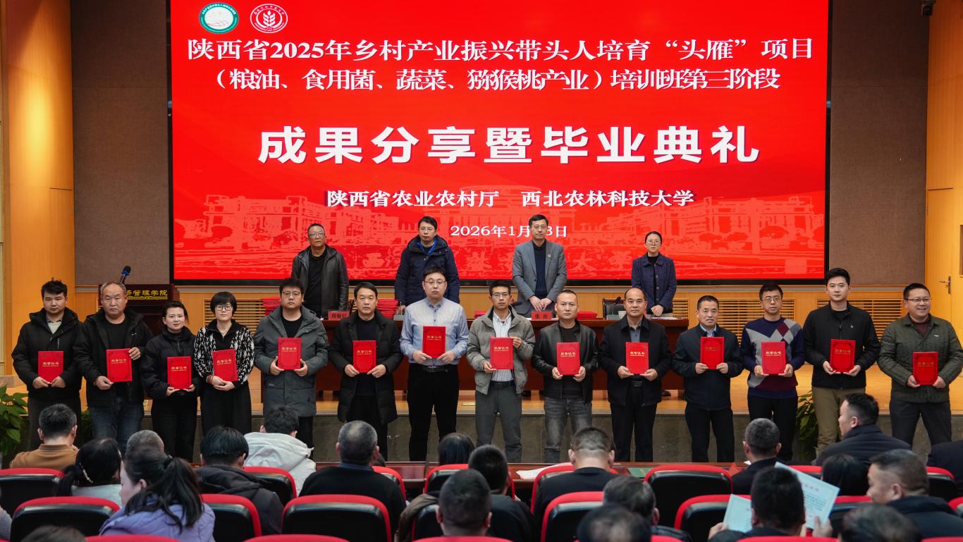 20260115110057952-39-64925.jpg_scale_.jpg 20260115110057952-39-64925.jpg_scale_.jpg