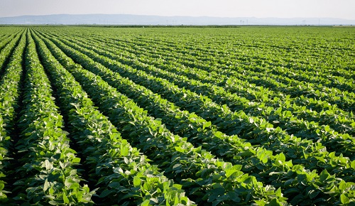 2ceffb54420065c8a6b1ec78fdb353116478