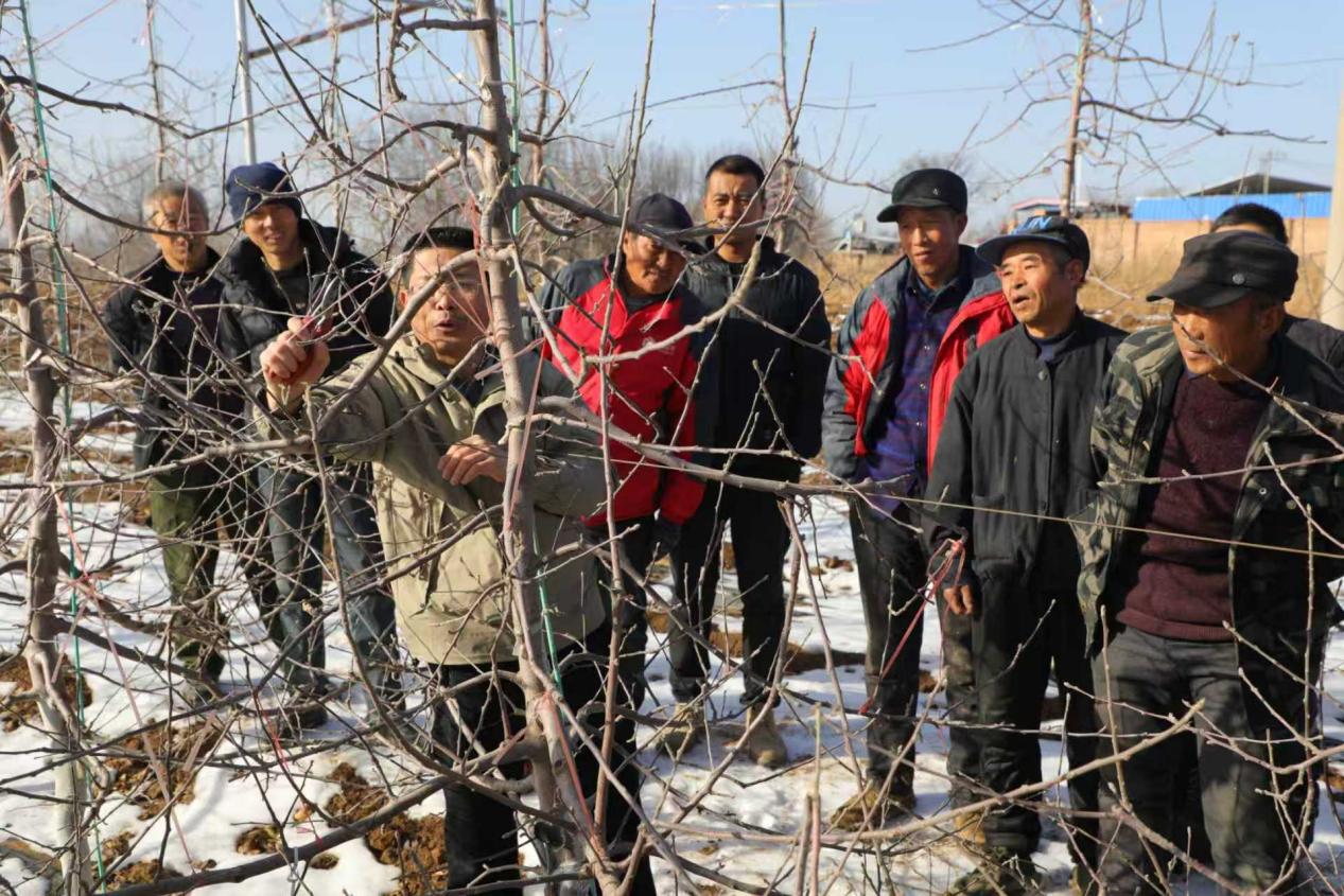 9114586ef0ec045ee4b3431ad3b6fb0c