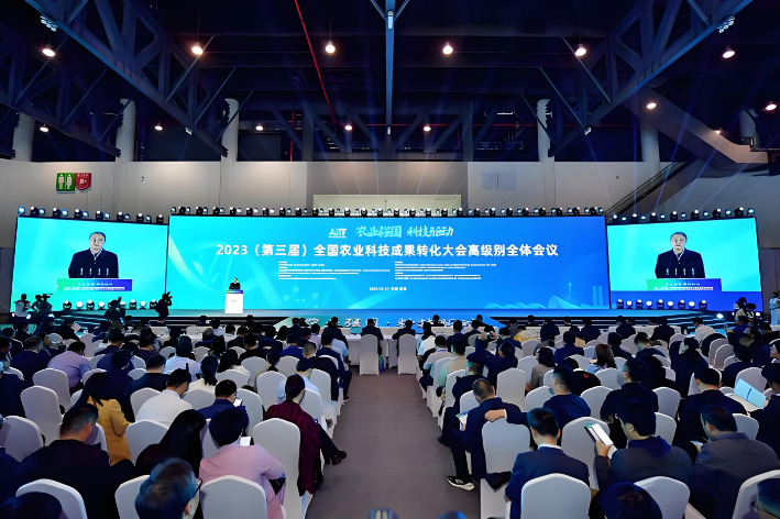 1768798542213628.png QQ_1768797809532.png