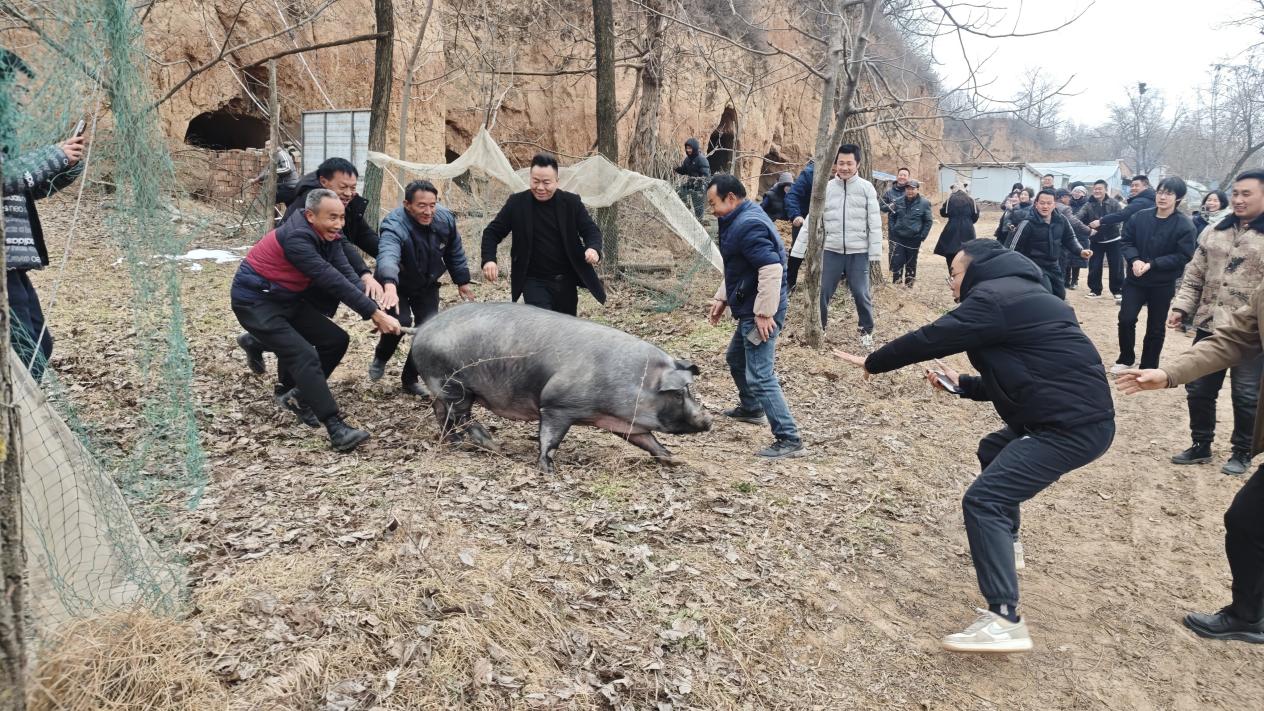 微信图片_20260119161712_12_3