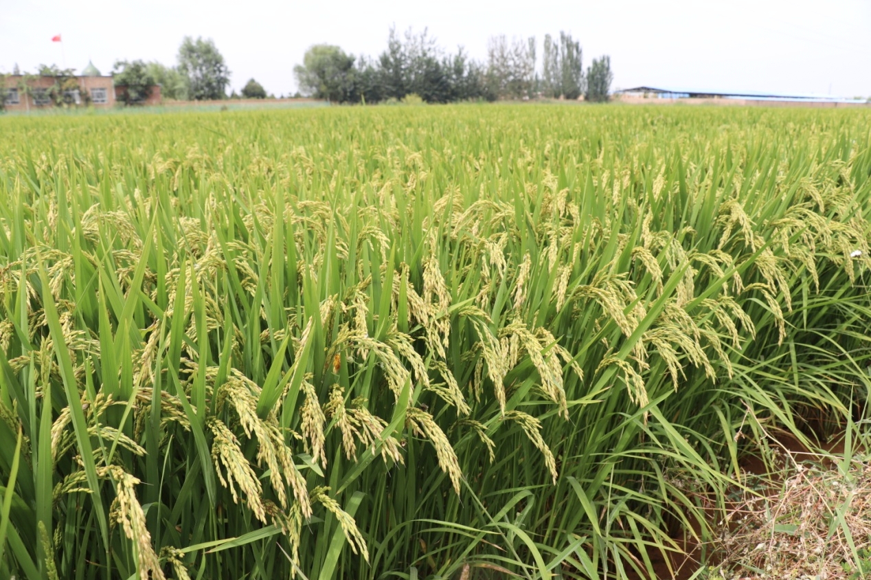 973272c826305e9b59c8770e5b1c2b08