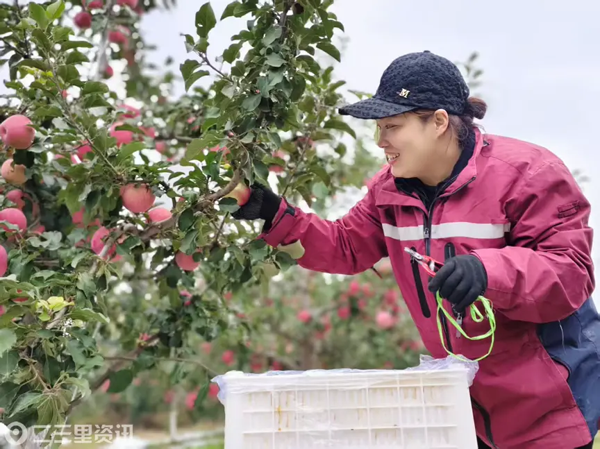PG电子游戏- PG电子平台- 官方网站