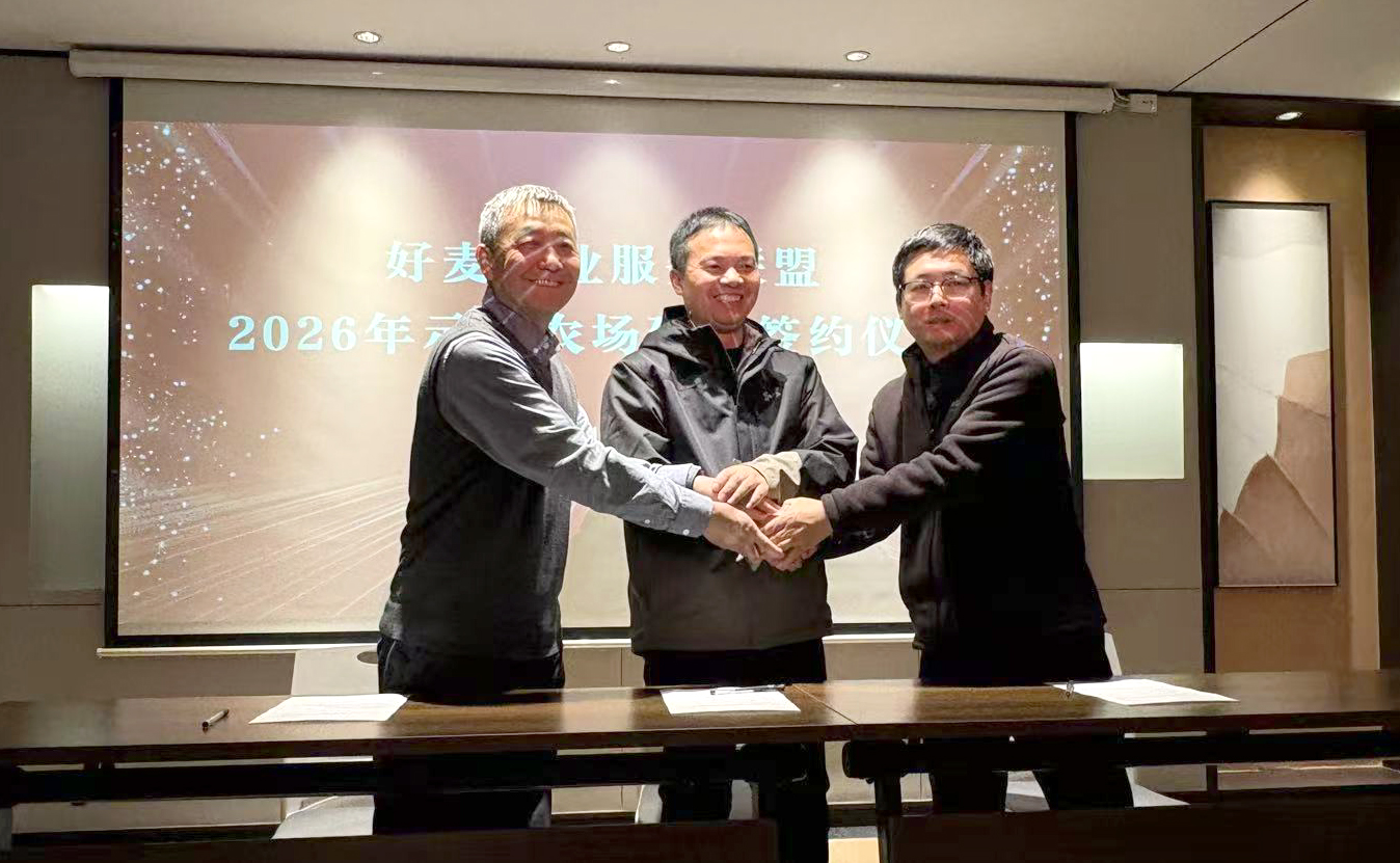 西北農(nóng)林科技大學(xué)王朝輝教授（右）與好麥農(nóng)業(yè)服務(wù)聯(lián)盟負(fù)責(zé)人王世成（左）一起同河南邁向豐農(nóng)業(yè)科技有限公司總經(jīng)理蘇國營（中）簽訂示范農(nóng)場建設(shè)協(xié)議