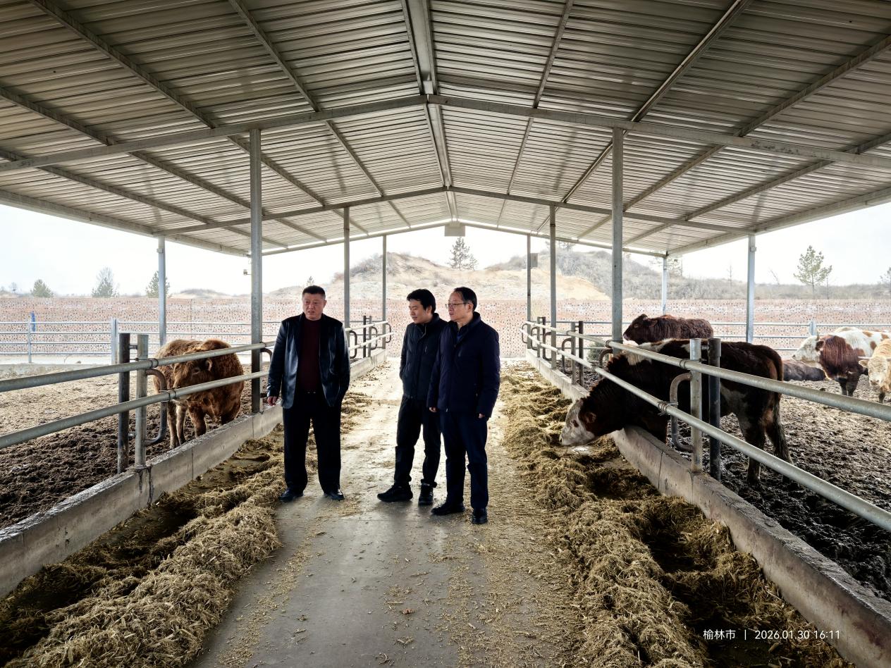 1a698d62b5efc1c31667d9eb85d99d1a