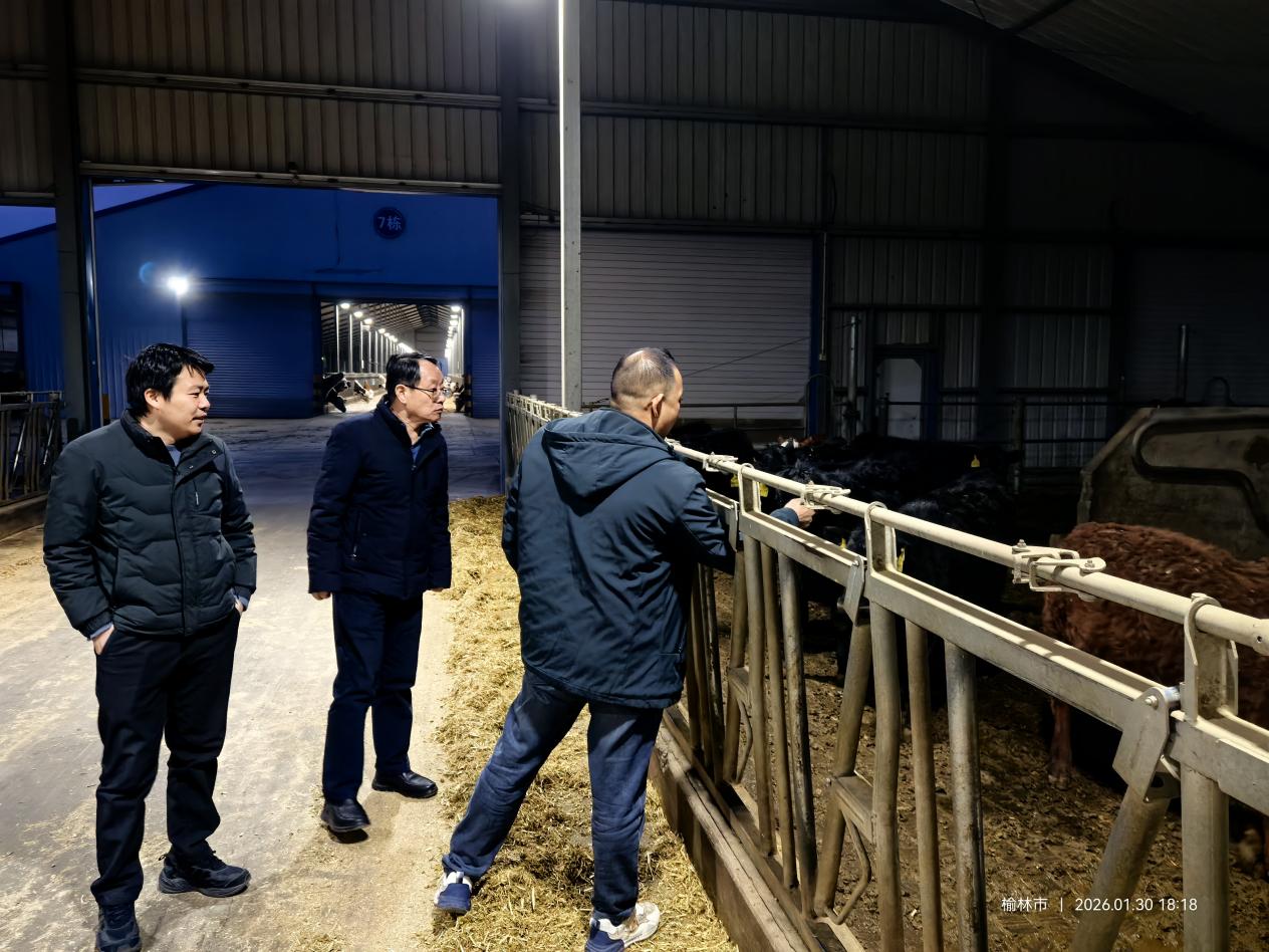 2b196c0f8cd526f2947bd158b175e1ee