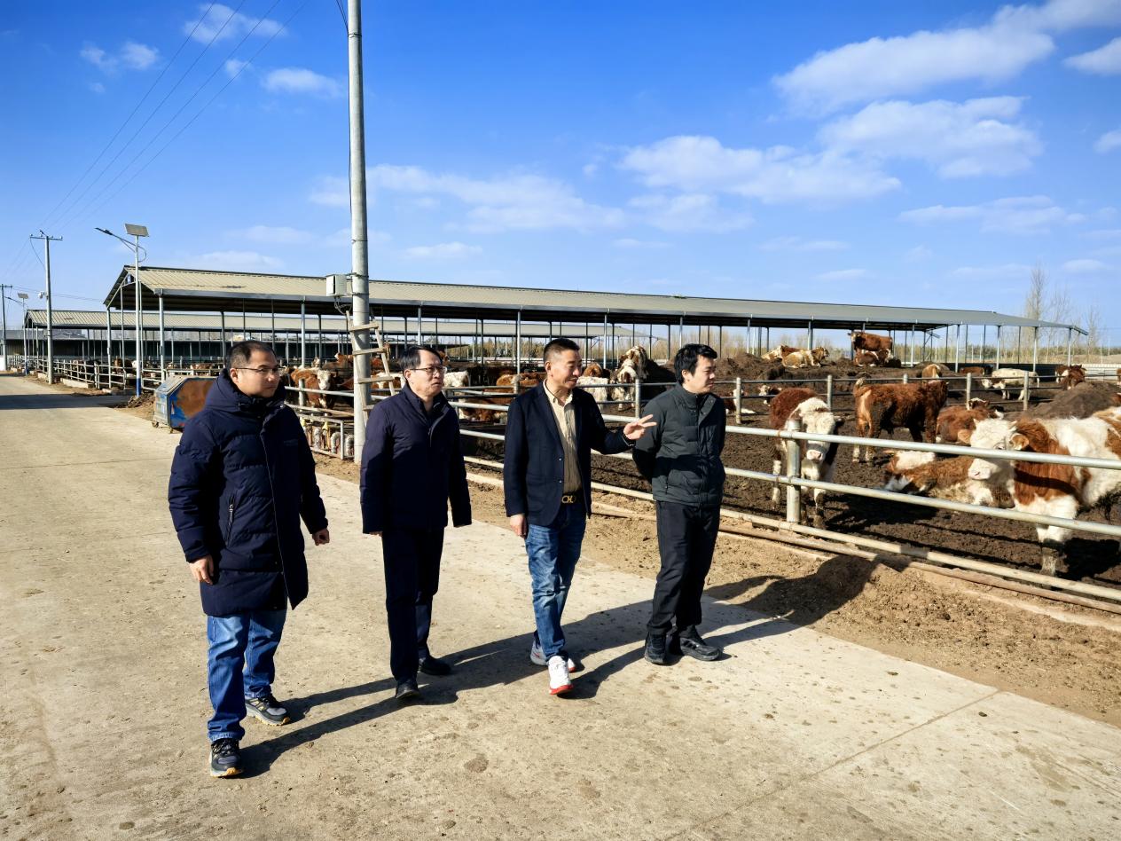 df1d185c3e95928cb893c4451a2defa0