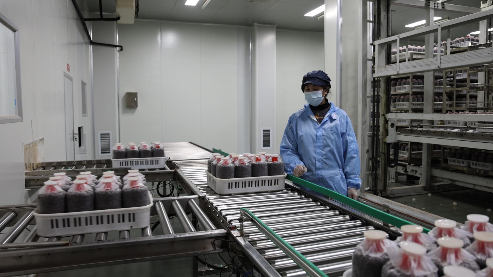 序列 01.00_08_48_34.Still020