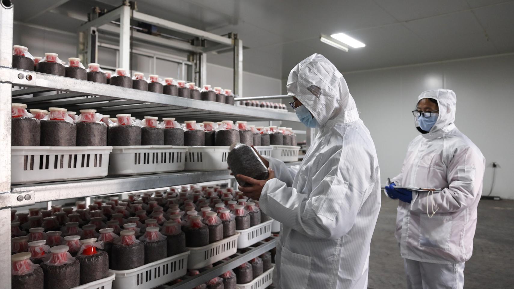 序列 01.00_13_14_31.Still031