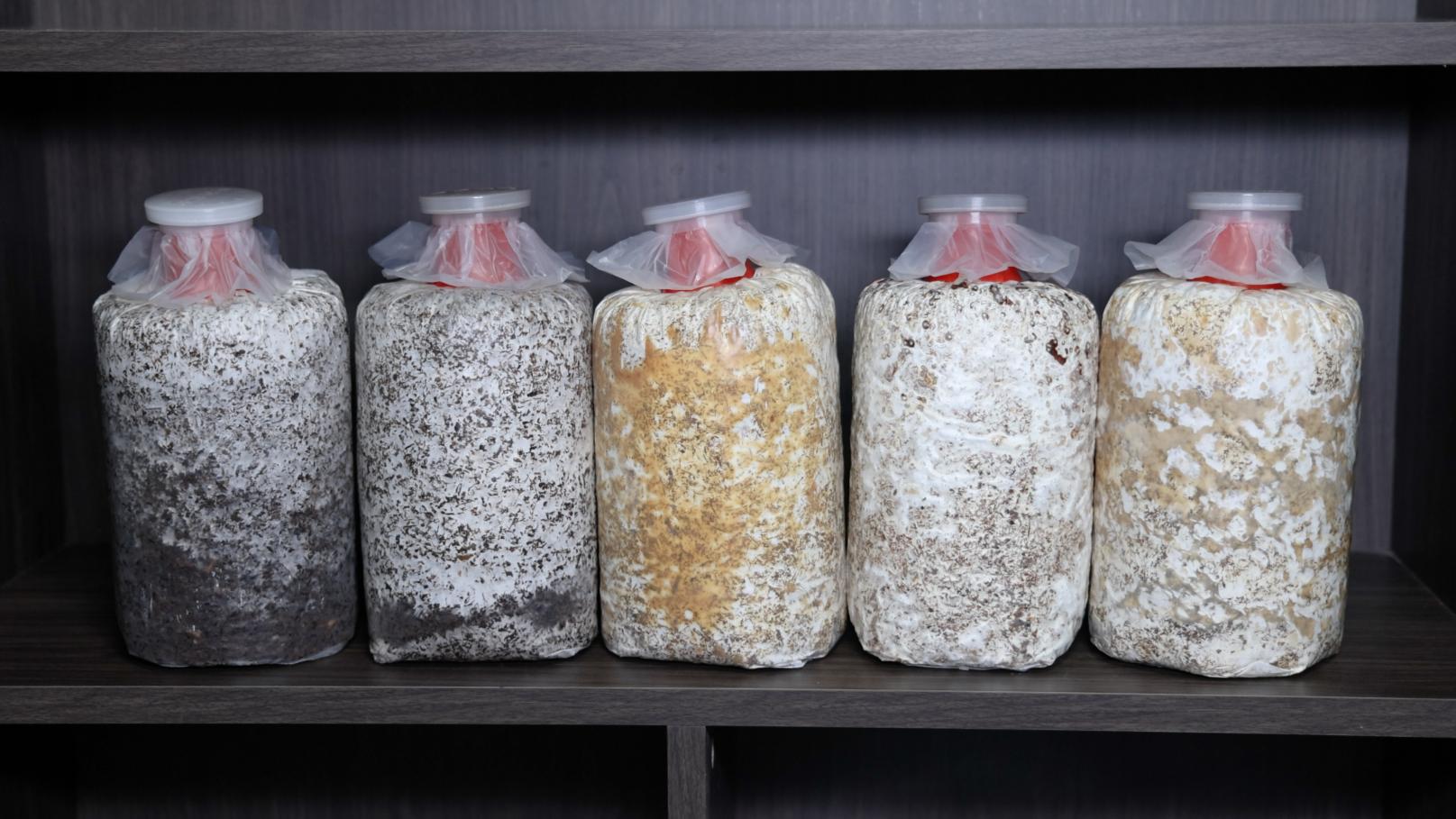 序列 01.00_36_25_12.Still078