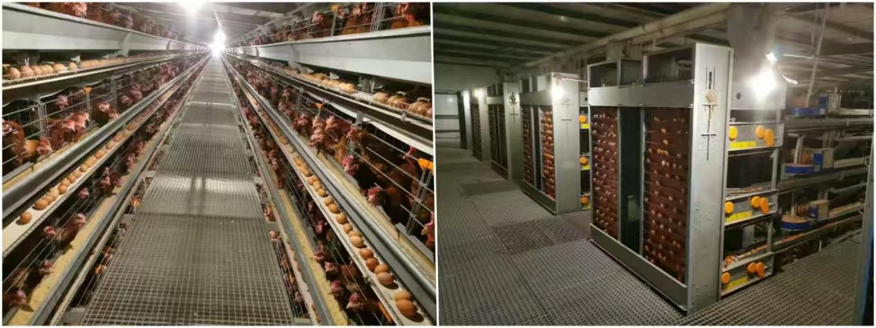 f1ac9896fd072629878cedb69d354141