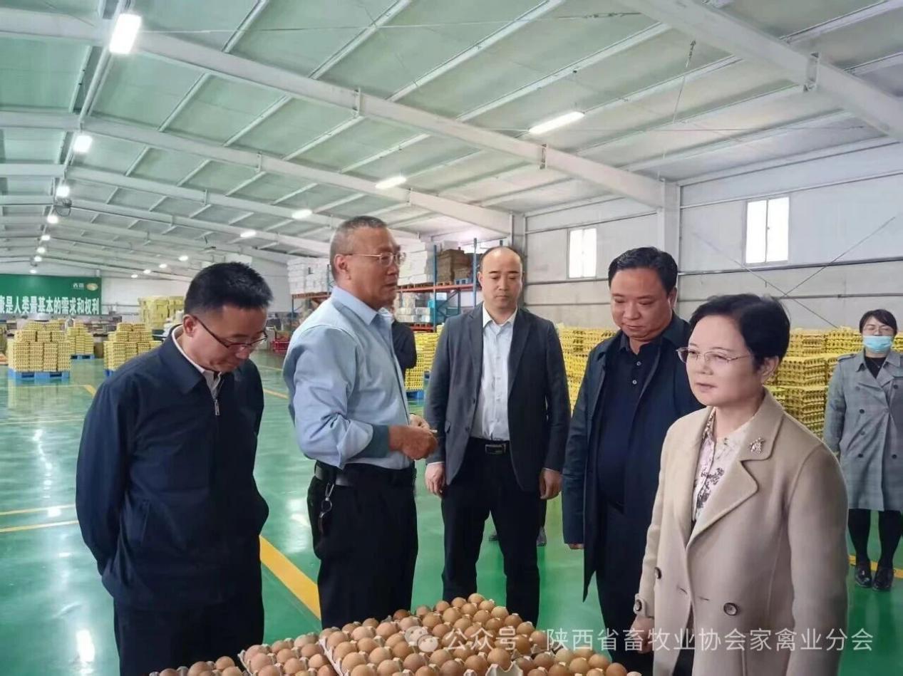 3120b8215a47ce59443dd995091c7a4f