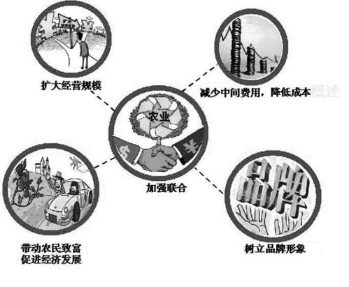 农民专业合作社的联合之路