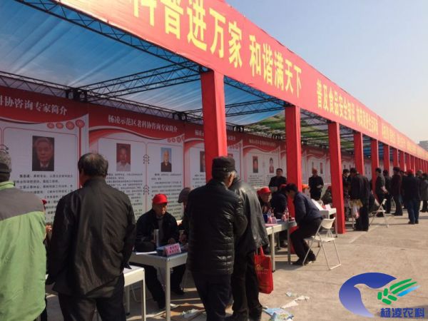 mmexport1488335106169
