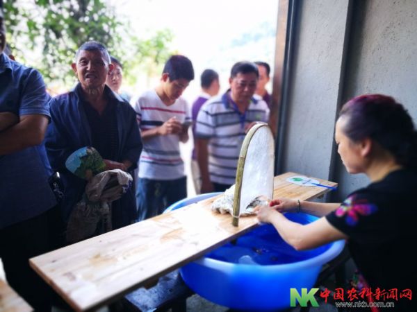 QQ图片20170723163627