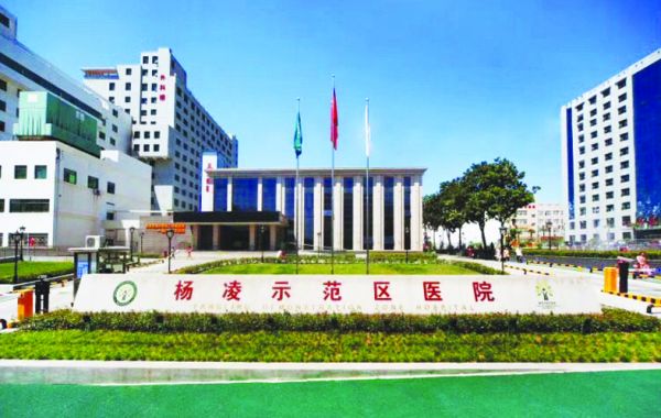 示范区医院