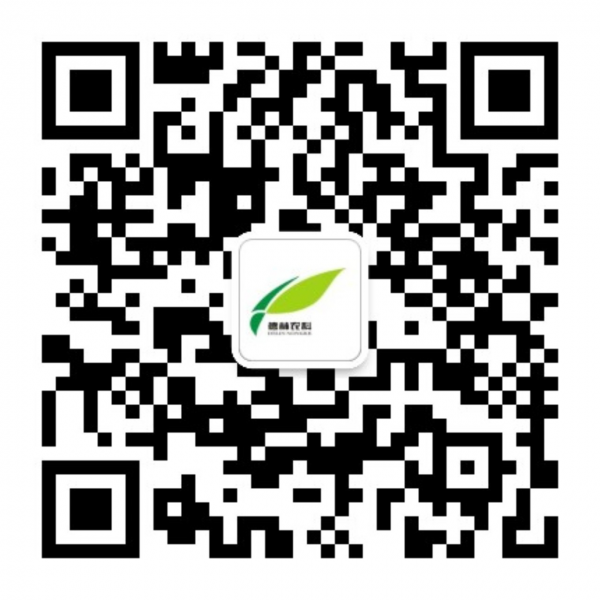 赛众