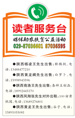 17246ee775f64775ae74747ec4f7bb4a