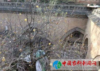 陕州 (61)