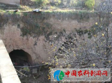 陕州 (62)