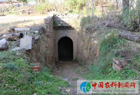 陕州 (55)