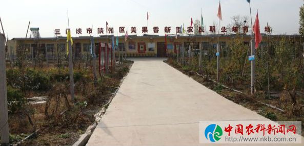 任， (20)