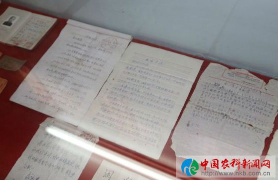地展 (14)