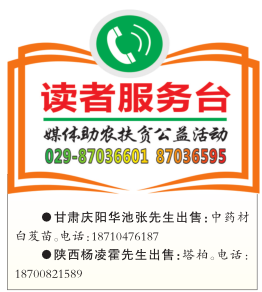 6a0e55d2838b4cfb8a1da457c7114d6e