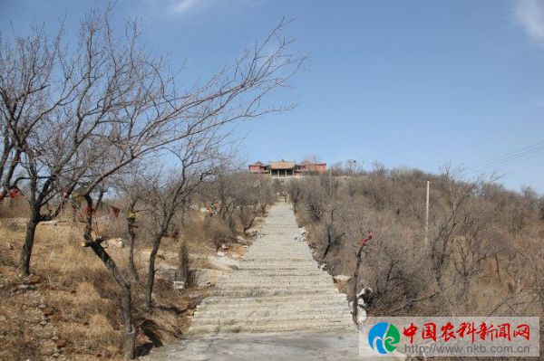 图片6