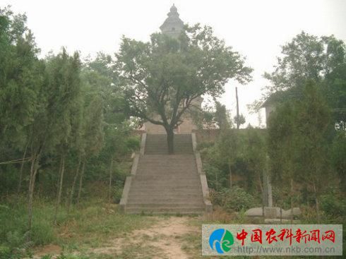 图片12