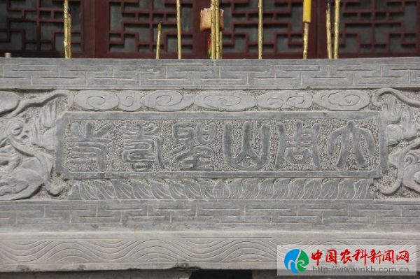 图片7