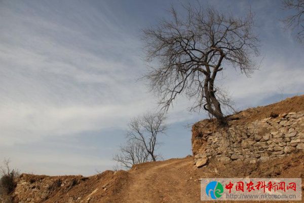 图片9