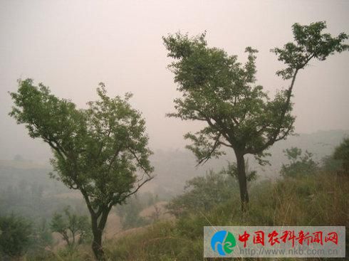 图片11