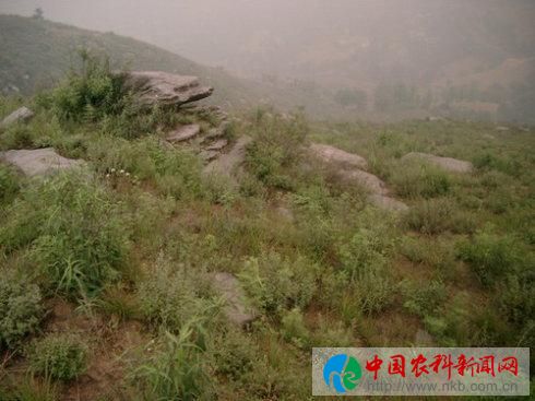 图片10