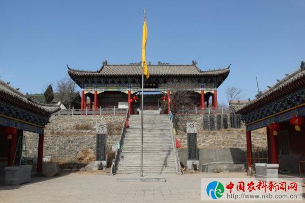 图片13