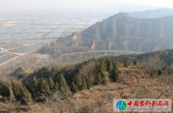 山林 (4)