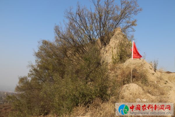 山林 (21)