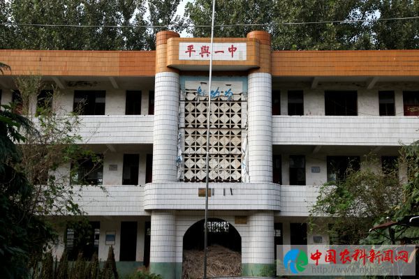 龙王庙 (1)
