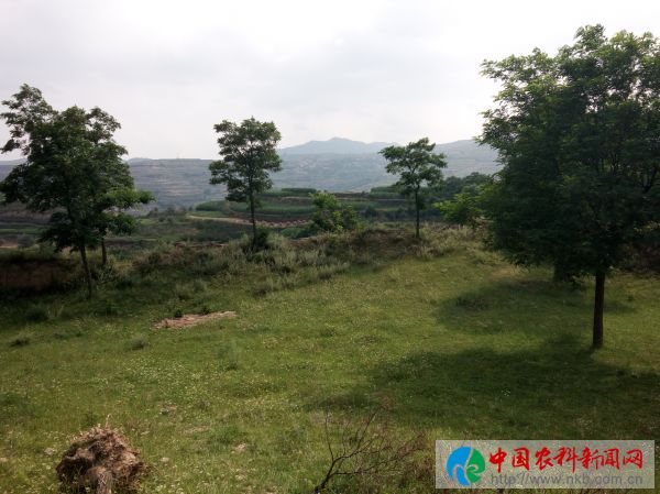庆胡村 (7)