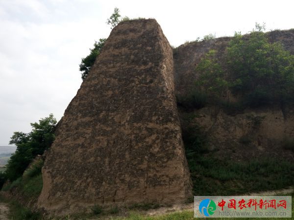 庆胡村 (2)