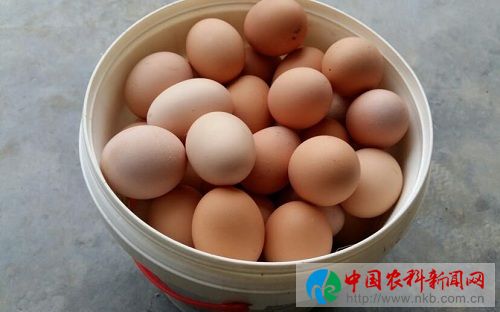 59697d24981dc