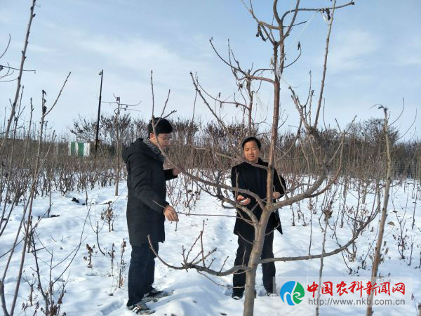 QQ图片20180130103625