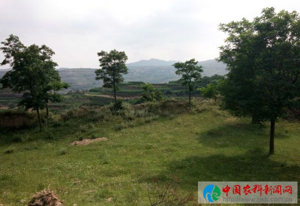 庆胡村 (7)